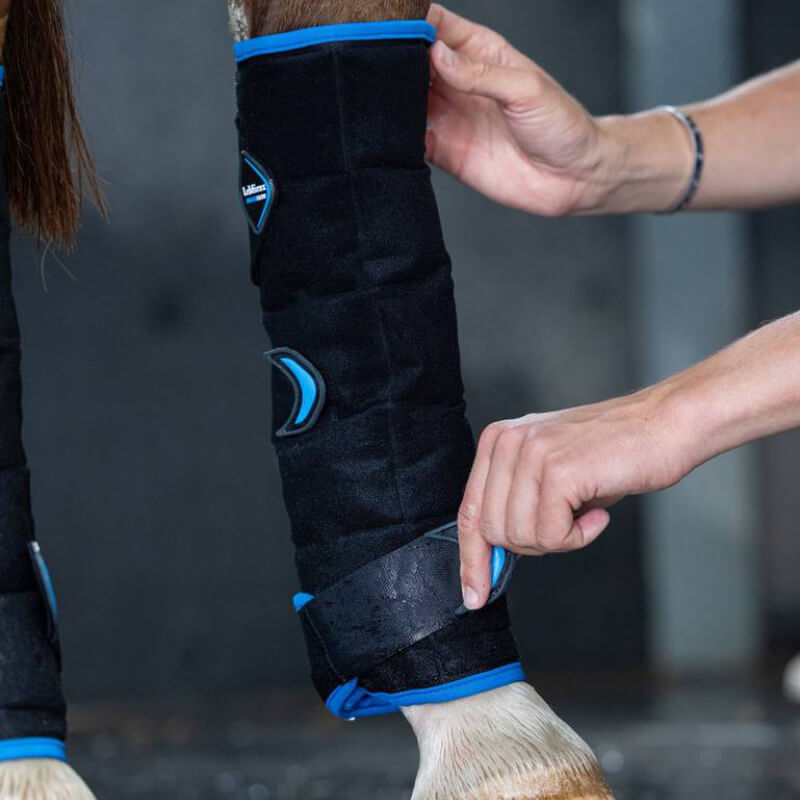 Person fastening LeMieux Freeze Flow Ice Boot Hind Black Onesize on a horse’s hind leg.