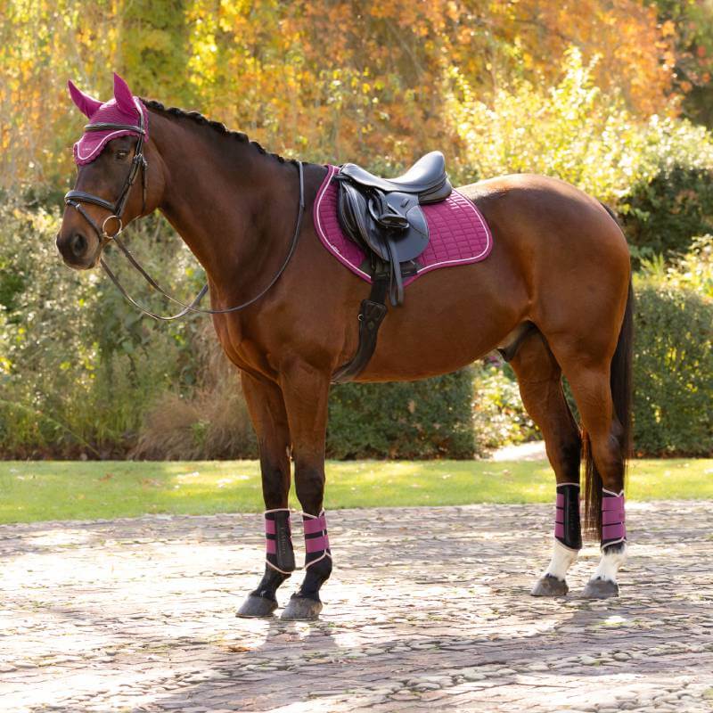 Brown horse in LeMieux Suede Close Contact Square Blackberry stands on a stone path with leaves.