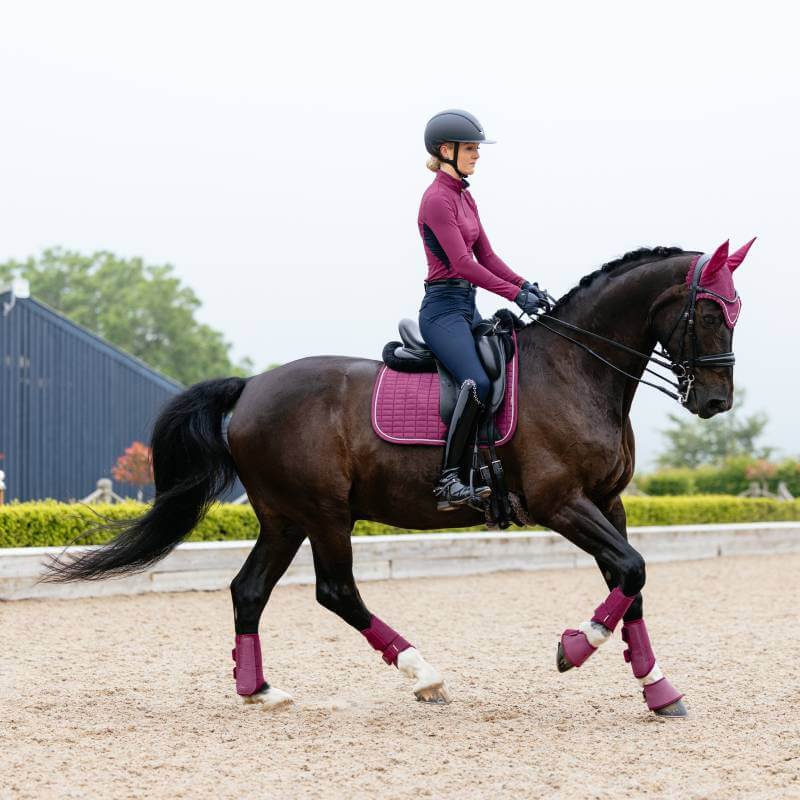 Rider on dark horse in maroon, both with LeMieux Suede Dressage Square Blackberry.