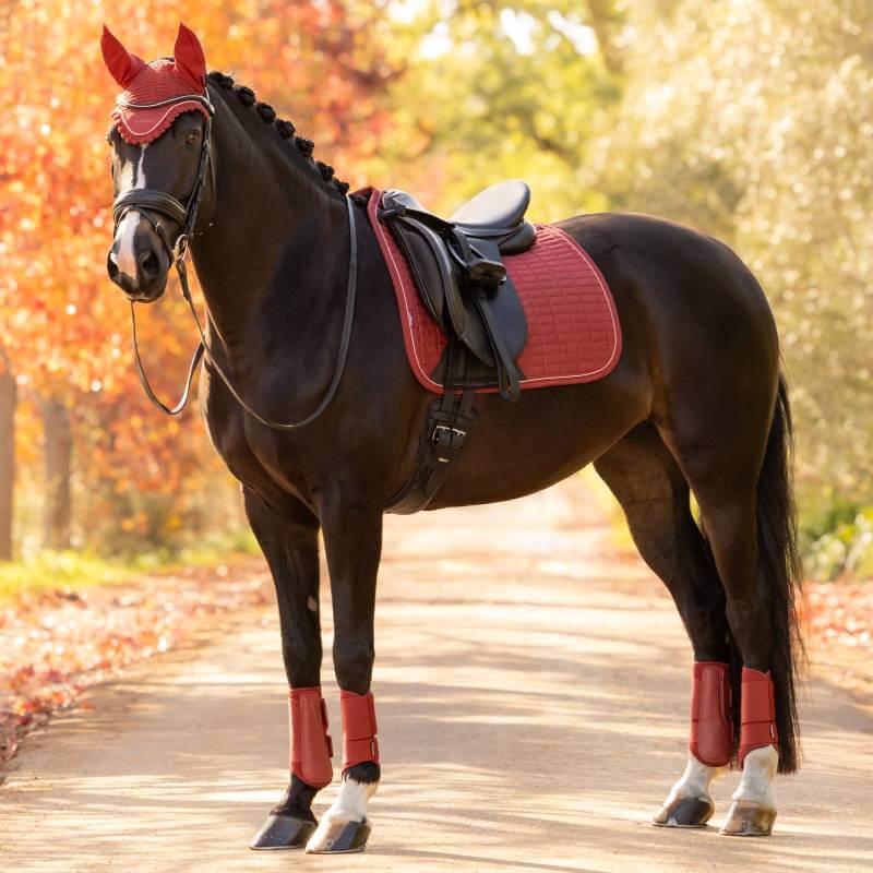 Black horse in red tack and LeMieux Suede Dressage Square Russet stands on a path in autumn.