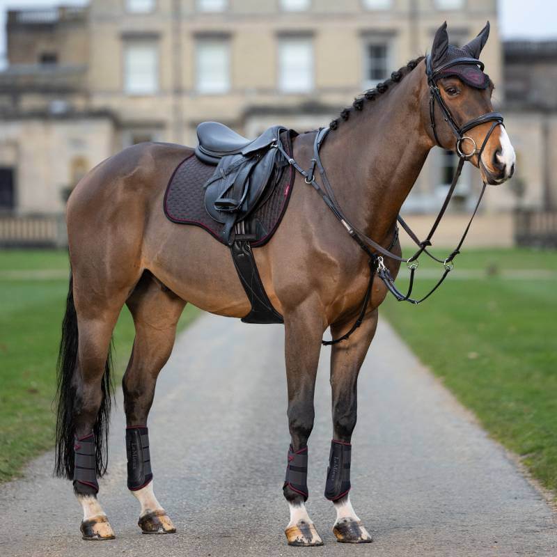 A brown horse with a LeMieux Suede GP Square Cinder pad stands on a path before a building.