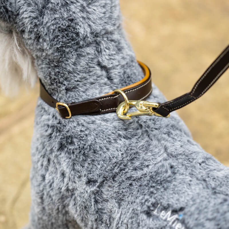Lemieux Toy Puppy Collar & Lead Ginger/Brown-Pet n Pony-LeMieux