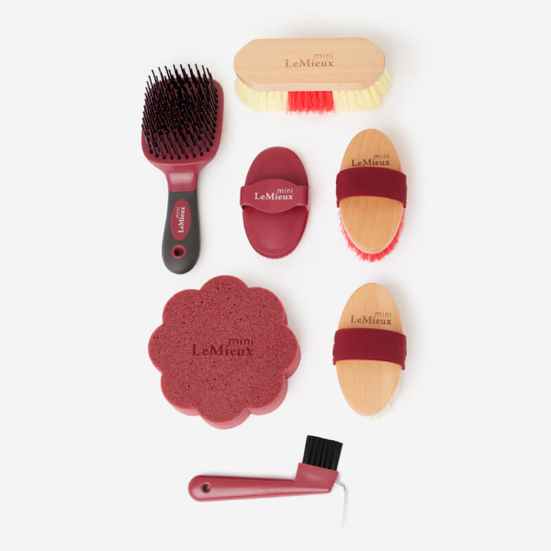 LeMieux Mini Grooming Set Red by LeMieux with 6 brushes/tools arranged on a white background.