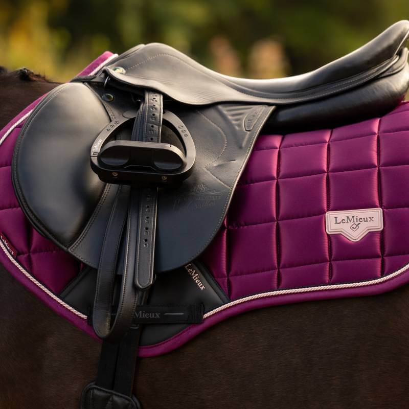 LeMieux Loire Classic Close Contact Square Blackberry