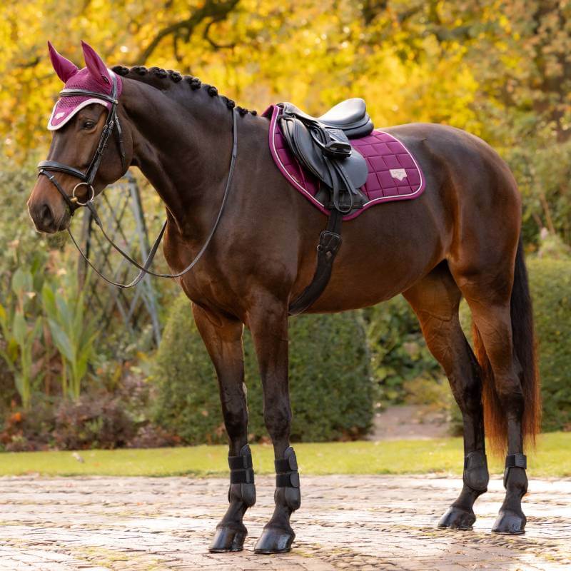 LeMieux Loire Classic Close Contact Square Blackberry