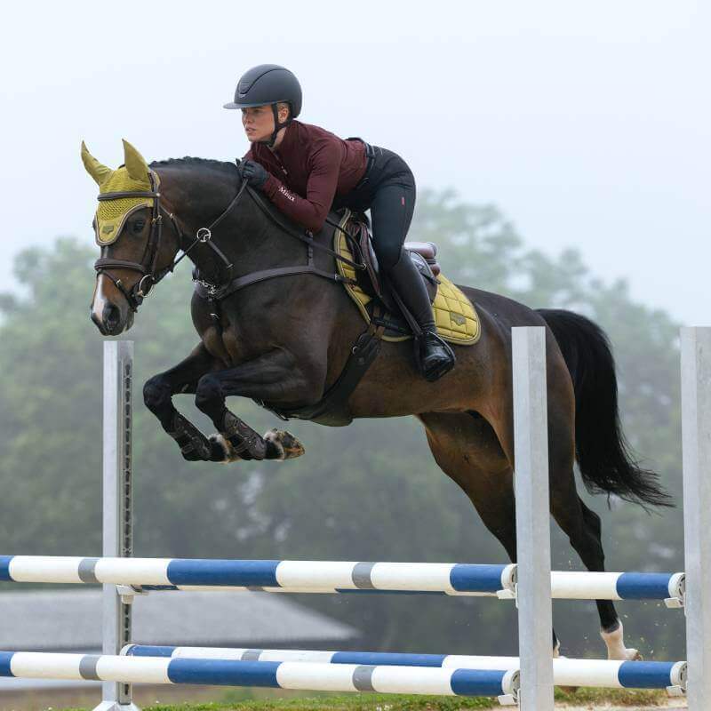 LeMieux Loire Classic Close Contact Square Gooseberry