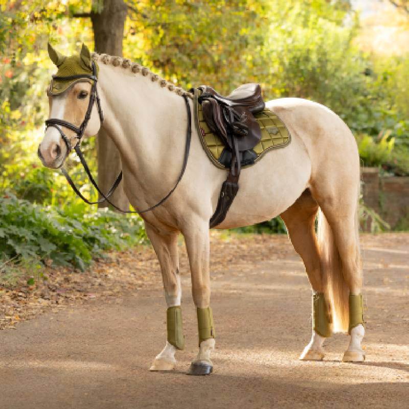 LeMieux Loire Classic GP Square Gooseberry