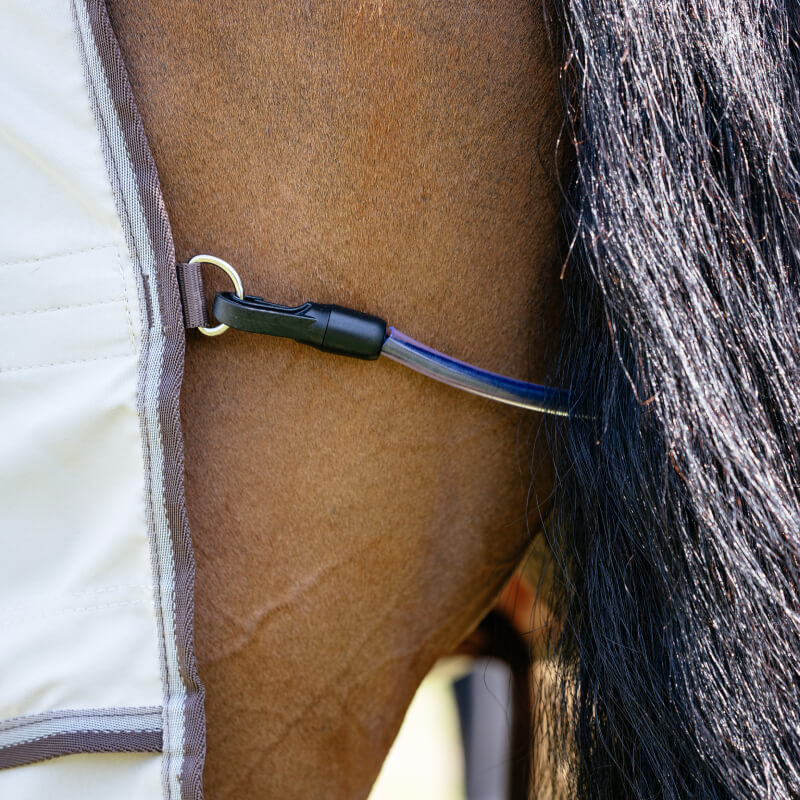 Close-up of a brown horse in the LeMieux Kudos Shower Pro Sweet Itch Rug Stone near its mane.