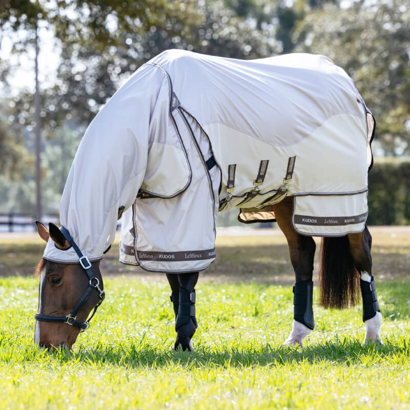 A horse in a LeMieux Kudos Shower Pro Sweet Itch Rug grazes on green grass in the sun.