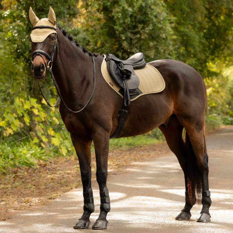 Dark brown horse in LeMieux Essence Close Contact Square Pear, tan and black tack, greenery behind.
