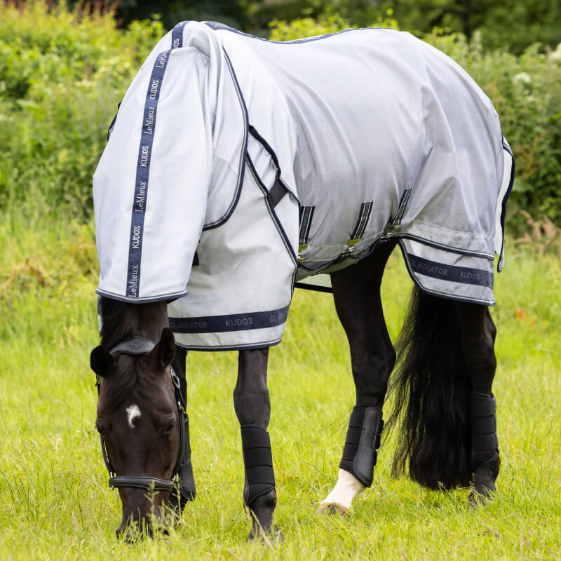 A horse in a LeMieux Kudos AeroGuard Fly Rug Silver grazes on green grass.