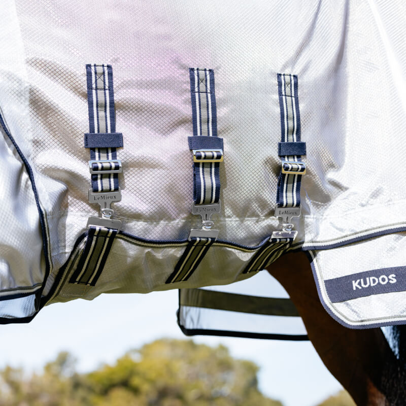 Close-up of a horse in the LeMieux Kudos AeroGuard Fly Rug Silver with UV protection.