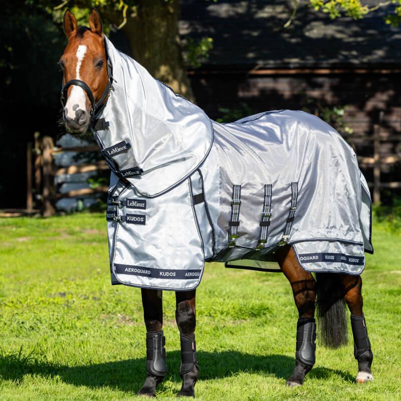A brown horse in a LeMieux Kudos AeroGuard Fly Rug Silver stands on grass.
