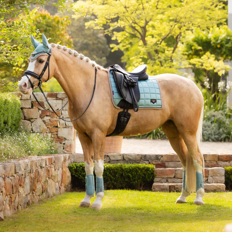 Palomino horse with LeMieux Arika Mesh Brushing Boots Aqua, teal pad, and bonnet outdoors.