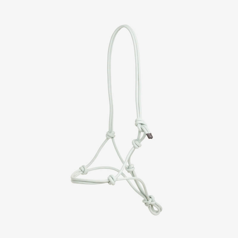 LeMieux Rope Halter Aqua One Size-Pet n Pony-LeMieux