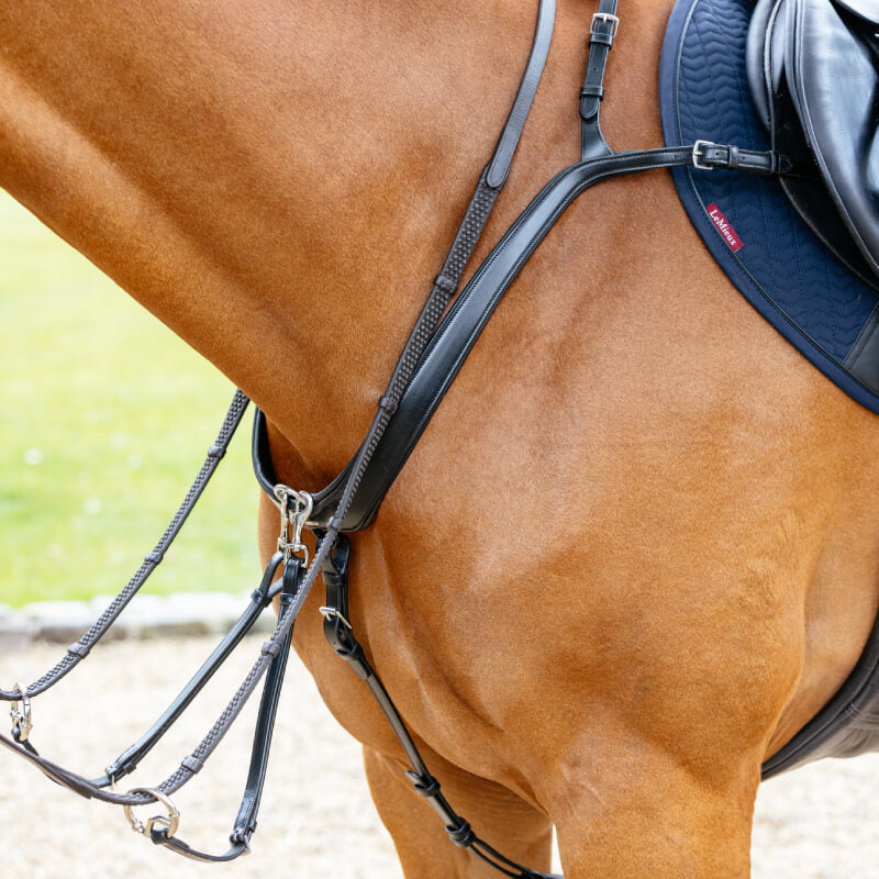 Brown horse wearing LeMieux Kudos Bridge Breastplate Black by LeMieux outdoors.