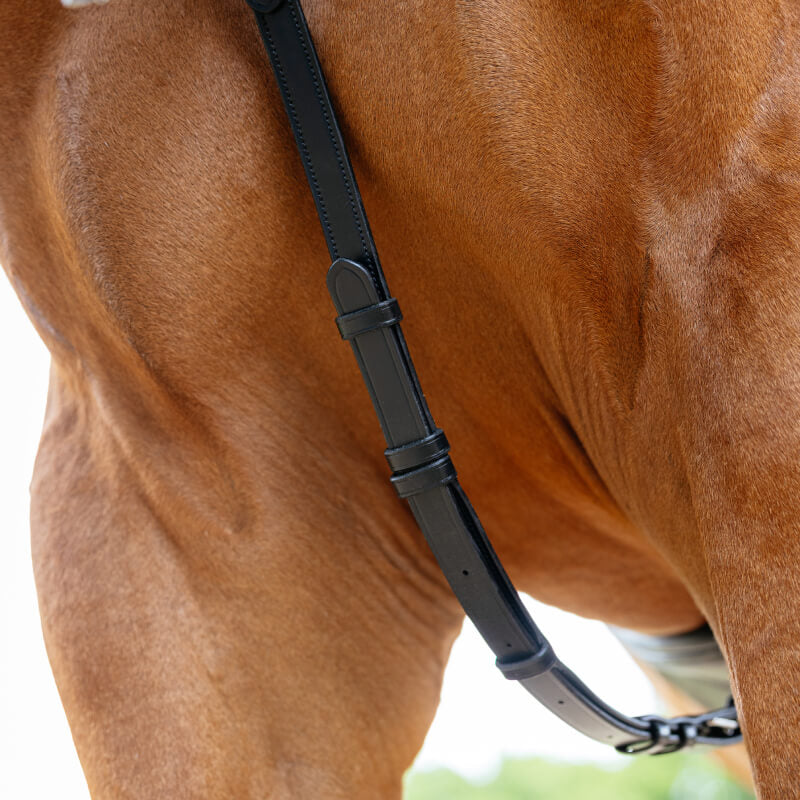 Close-up of a brown horse wearing the LeMieux Kudos Bridge Breastplate Black by LeMieux.