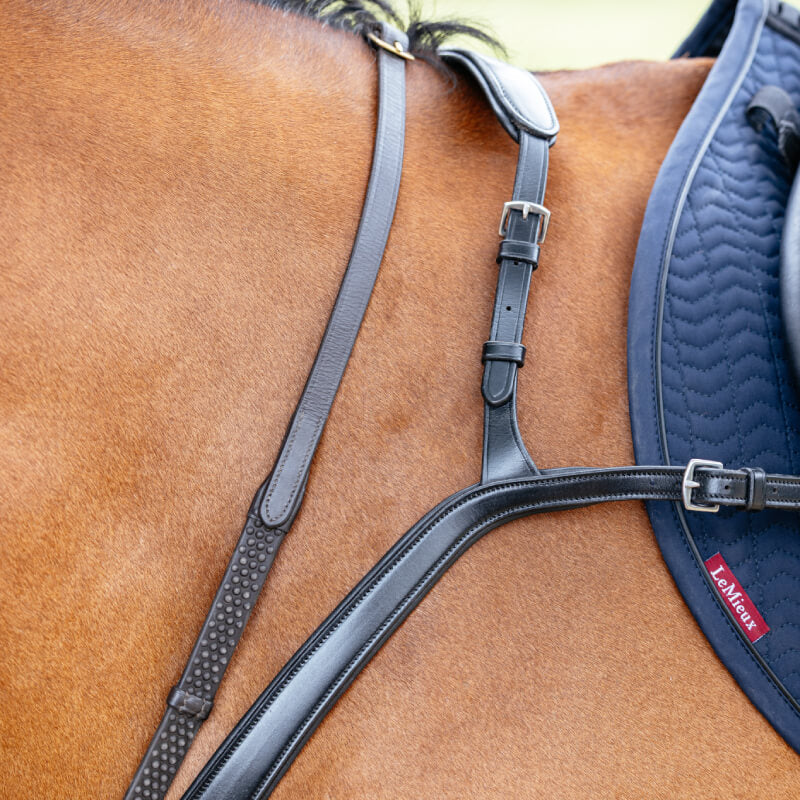 Close-up of a brown horse with a LeMieux Kudos Bridge Breastplate Black and navy saddle pad.