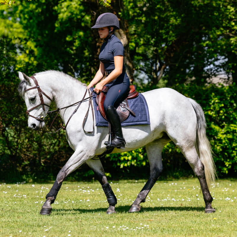 LeMieux Pillow Pad Navy-Pet n Pony-LeMieux