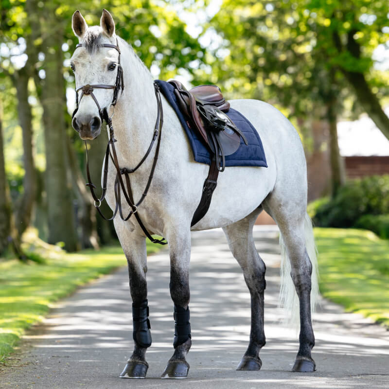 A horse with a LeMieux Pillow Pad Navy stands on a tree-lined path.