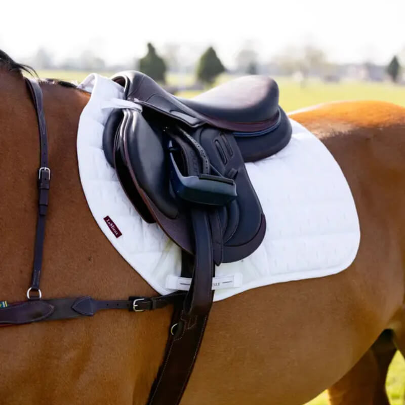A close-up of a brown horse with a LeMieux 3D Mesh Self-Cool Eurojump Square White saddle pad.