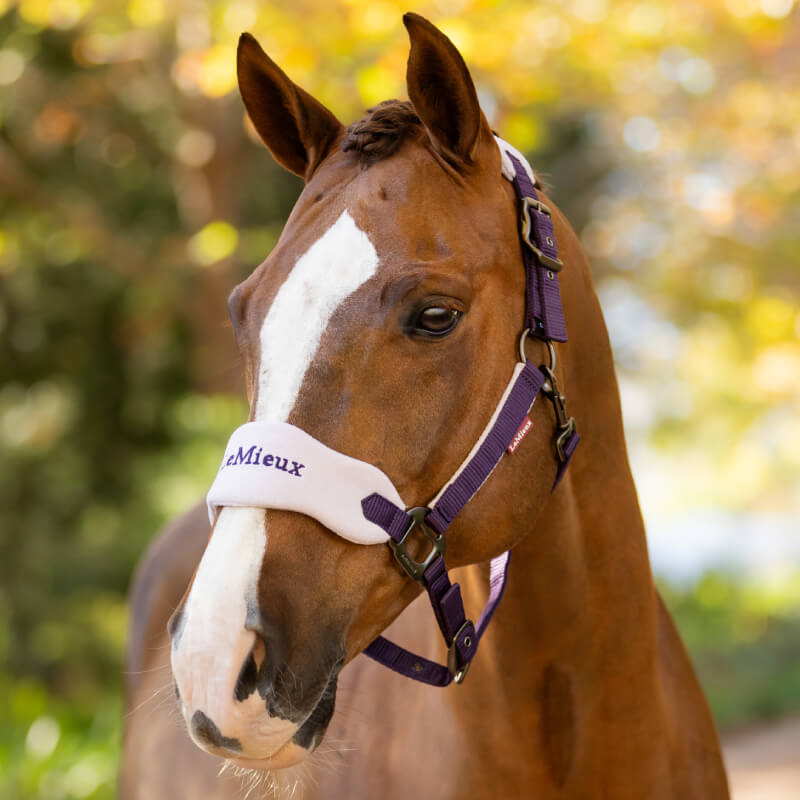 LeMieux Vogue Headcollar & Leadrope Juniper