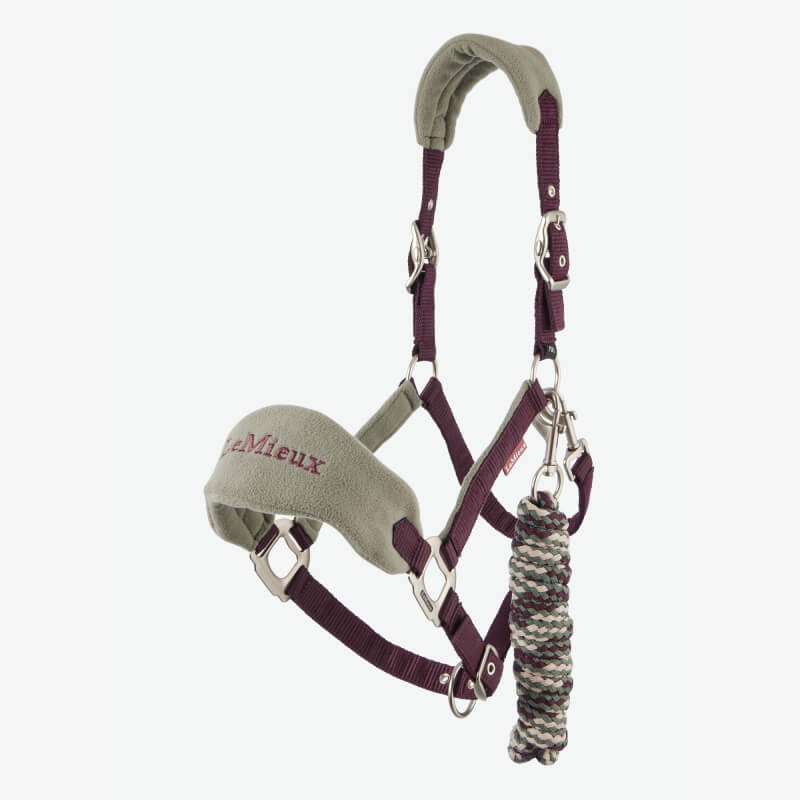 LeMieux Vogue Headcollar & Leadrope Damson