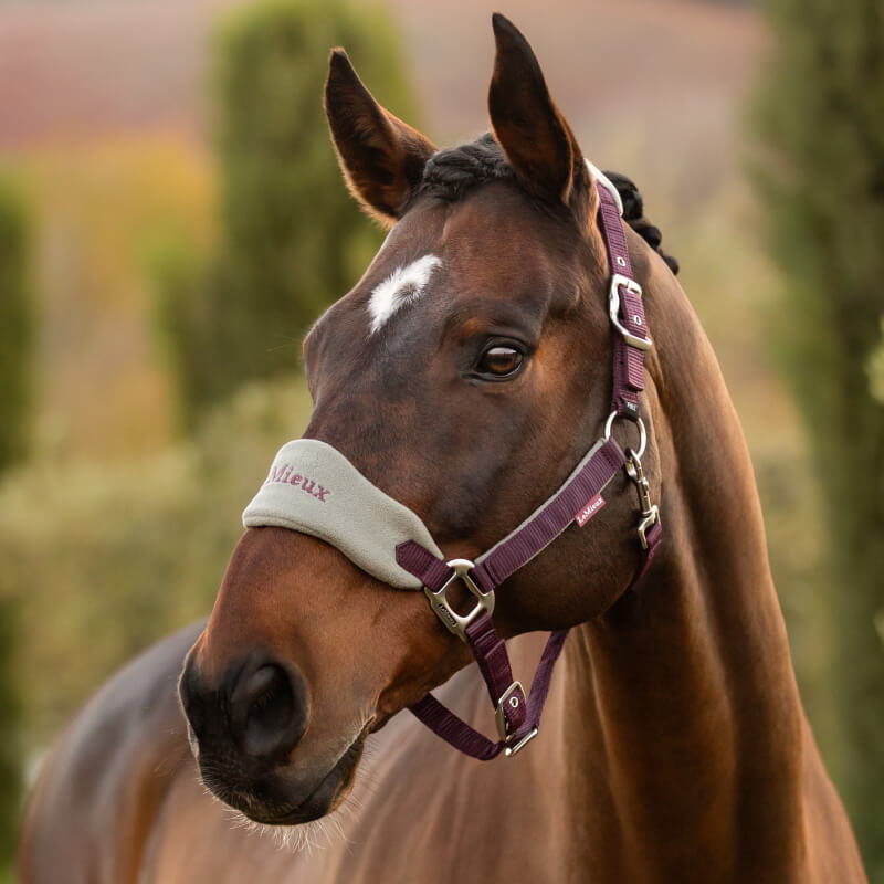LeMieux Vogue Headcollar & Leadrope Damson