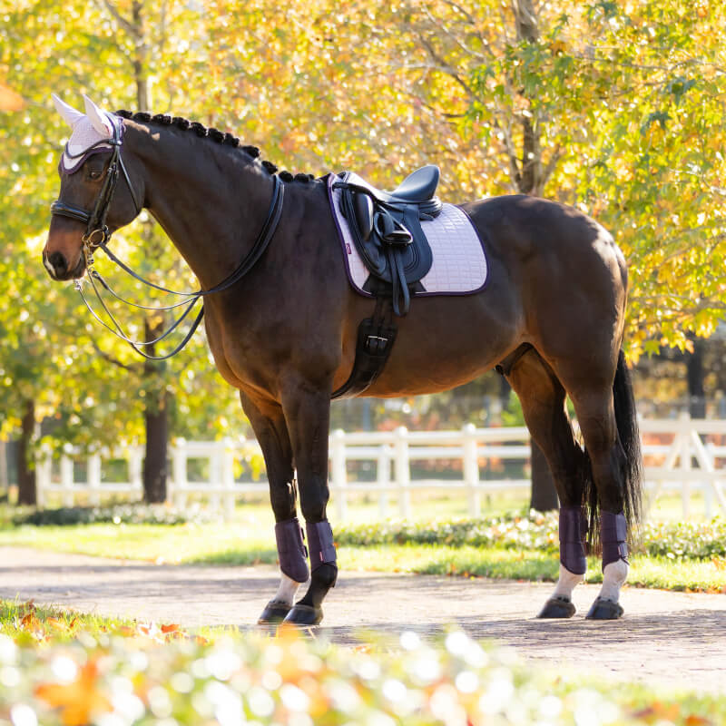 A brown horse stands on a path with a LeMieux Suede Dressage Square Lilac in the sun.