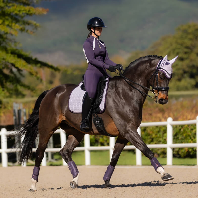 A rider in purple rides a dark horse with a LeMieux Suede Dressage Square Lilac outdoors.