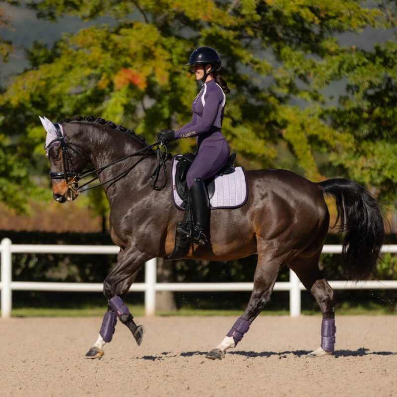 Woman in riding gear trots a dark horse with a LeMieux Suede Dressage Square Lilac saddle pad.