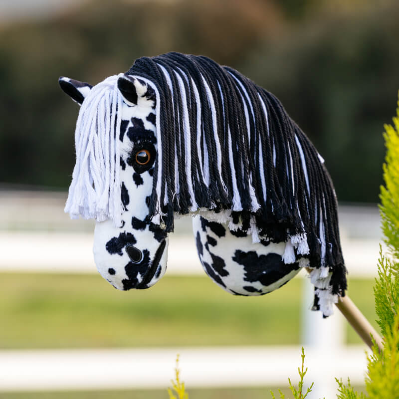 LeMieux Hobby Horse Dakota by LeMieux—an ideal equestrian toy for kids’ outdoor play.