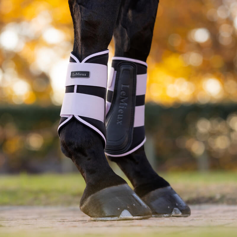 Close-up of a horse’s lower legs in LeMieux Grafter Brushing Boots Lilac on a sunny day.
