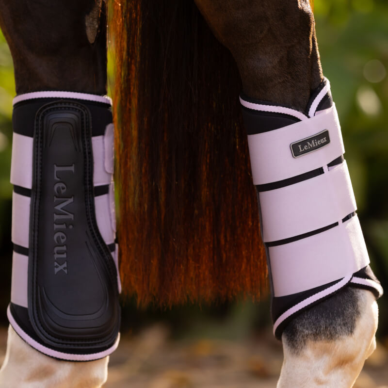 Close-up of a horse's legs in LeMieux Grafter Brushing Boots in Lilac.