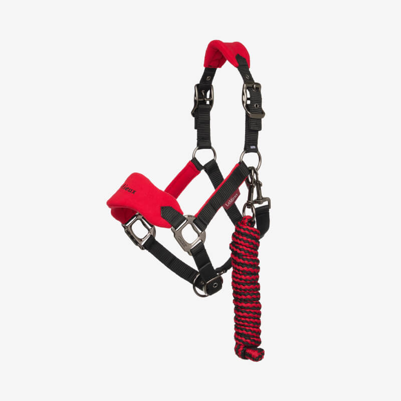 A horse in a LeMieux Mini Vogue Headcollar & Leadrope Chilli stands outdoors, mane braided.