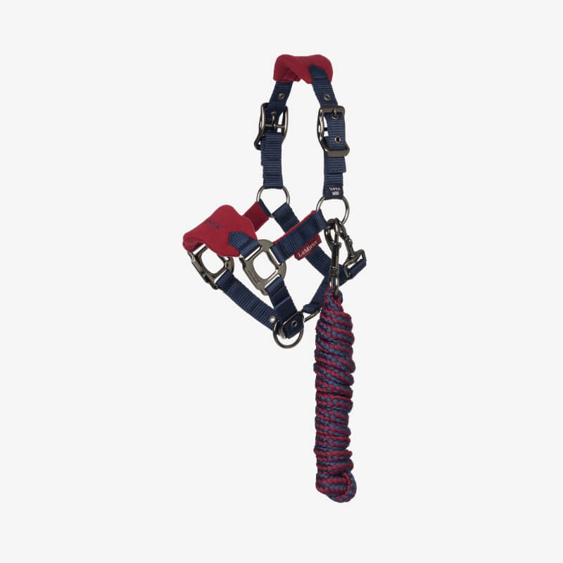 A light brown and white pony in a LeMieux Mini Vogue Headcollar & Leadrope Burgundy stands outdoors.