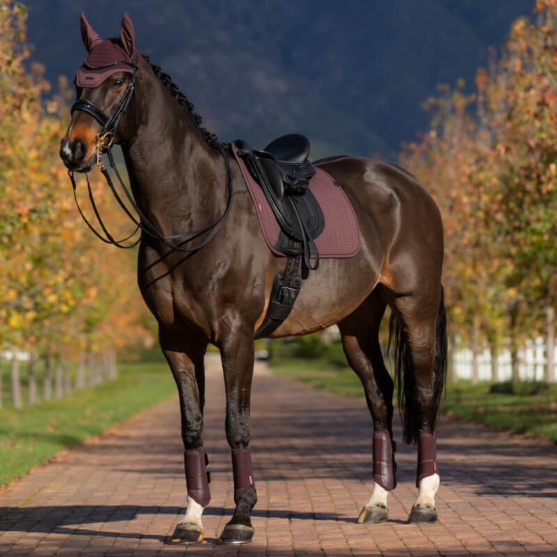 Black saddle with LeMieux Essence Dressage Square Damson pad, outdoors.