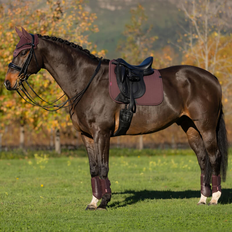 A dark brown horse with braided mane stands saddled on a LeMieux Essence Dressage Square Damson.