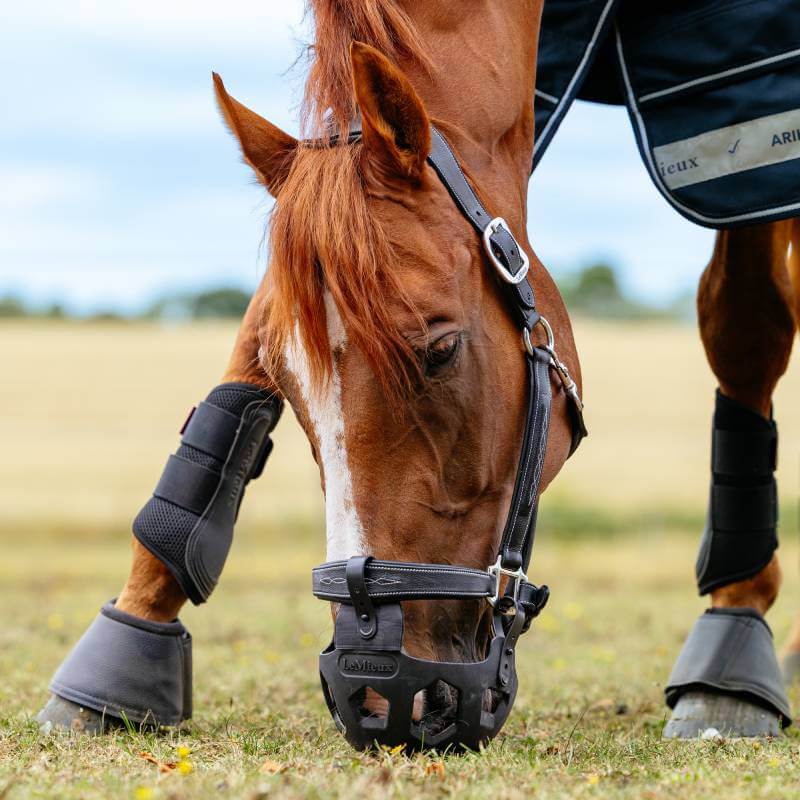 LeMieux Noma Grazing Muzzle Black with cut-outs and adjustable straps for weight control.