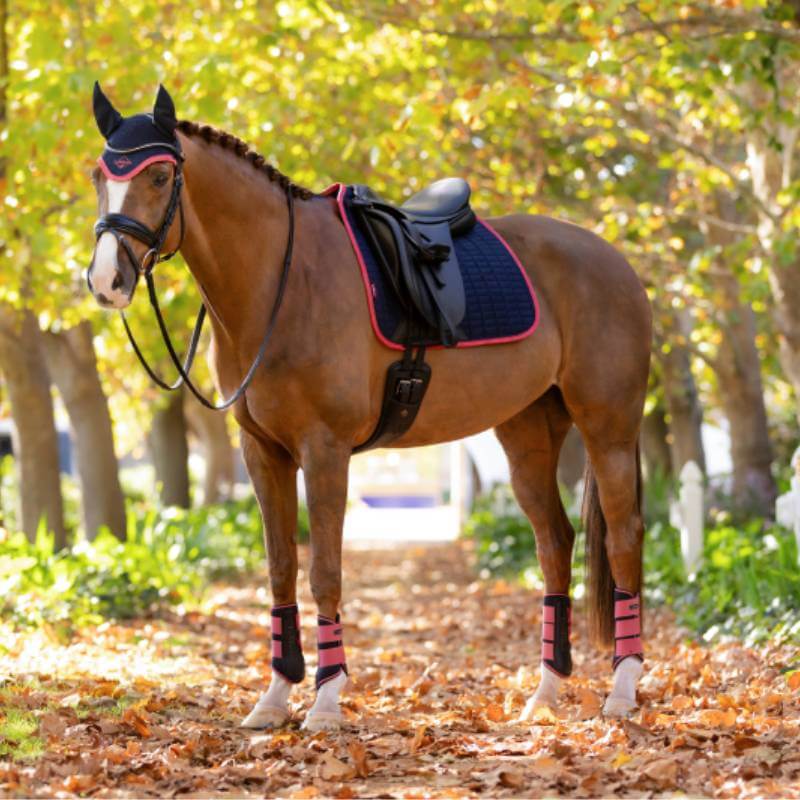 LeMieux Suede Dressage Square Navy/Cranberry: premium saddle pad with red trim.