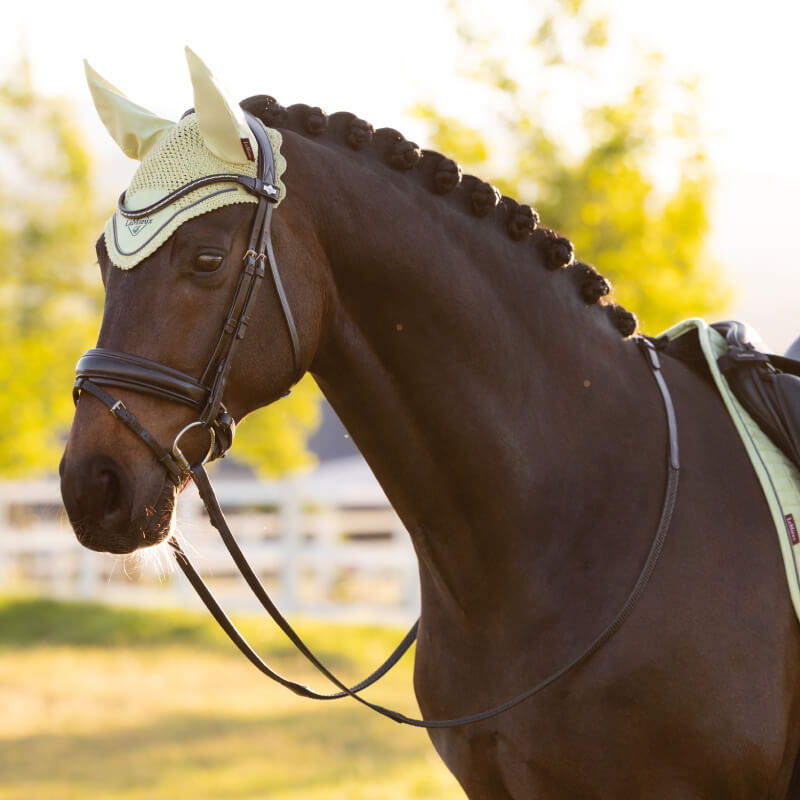 A dark horse in light tack sports a LeMieux Classic Fly Hood Macaron outdoors.