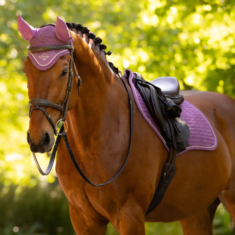 Brown horse with braided mane in LeMieux Classic Fly Hood Mallow stands outdoors in sunlight.