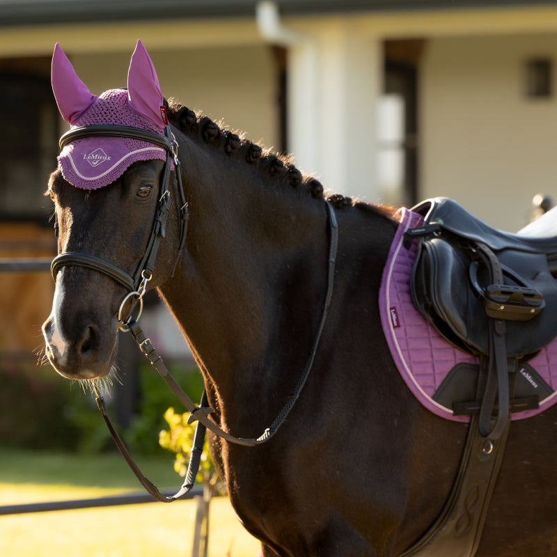 Dark horse in a LeMieux Classic Fly Hood Mallow stands outdoors, facing the camera.