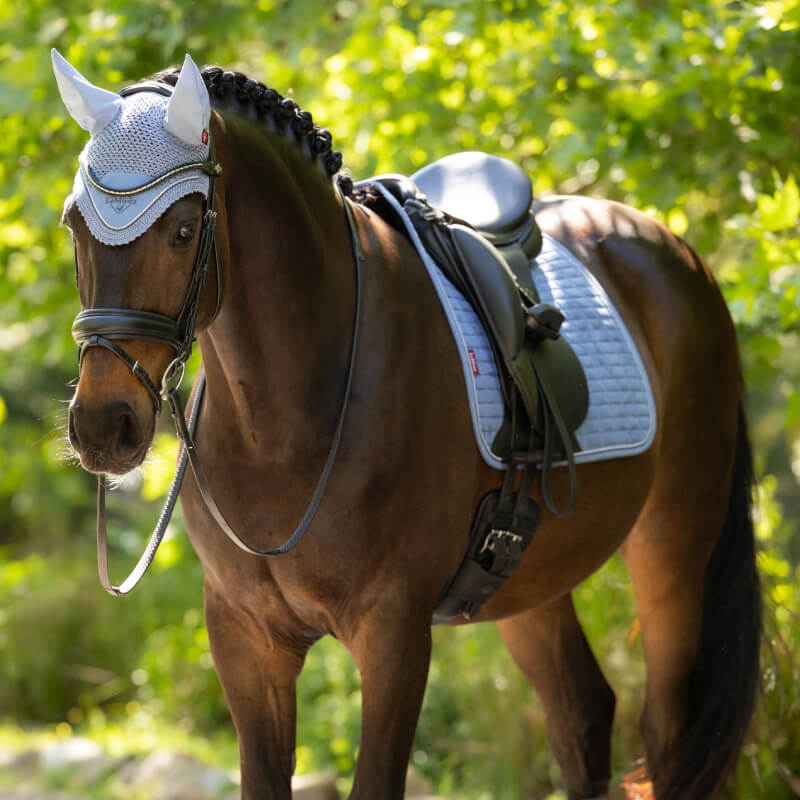 Brown horse in LeMieux Classic Fly Hood Powder Blue stands outdoors with greenery behind.