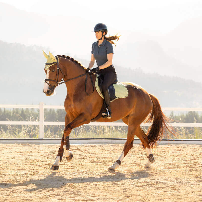 Woman riding a brown horse in an arena with a LeMieux Suede Close Contact Square Macaron pad.
