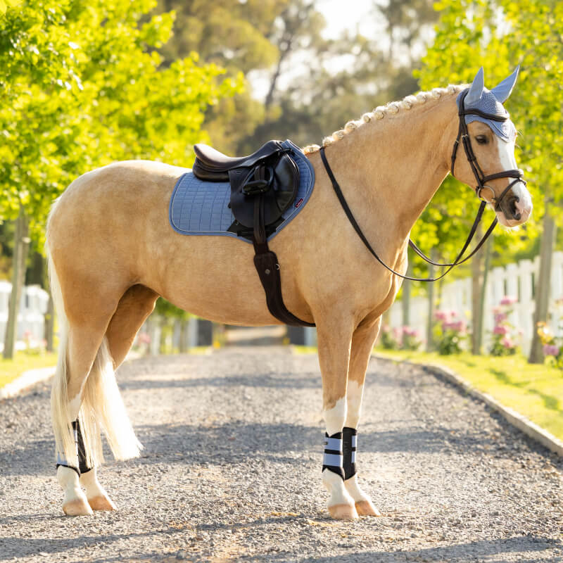 A palomino horse in a LeMieux Suede Close Contact Square Powder Blue stands on a sunlit path.