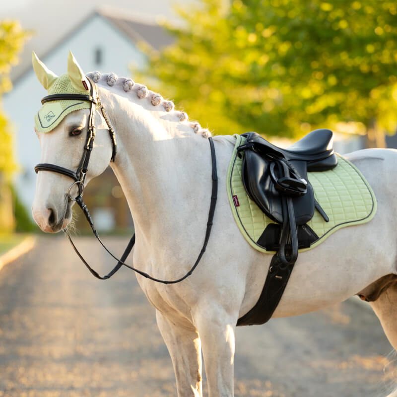 A white horse with braided mane and yellow tack wears a LeMieux Suede GP Square Macaron pad.