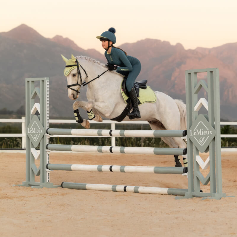 Rider jumps horse over hurdle, mountains behind, both wear LeMieux Suede GP Square Macaron.