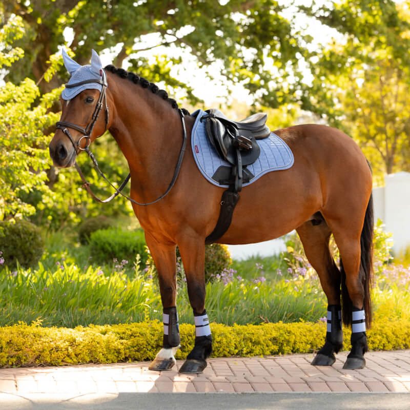 Brown horse in LeMieux Suede GP Square Powder Blue stands on pavement near greenery.
