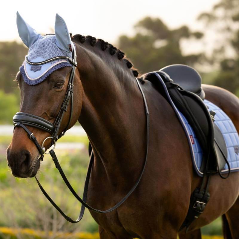 Brown horse wears LeMieux Loire Fly Hood Powder Blue outdoors for ear protection.